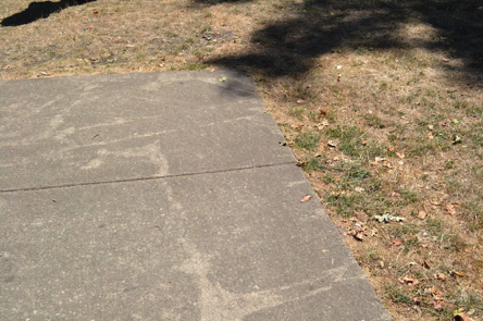 Paved trail transitions to grass